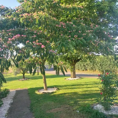 Casa de Férias La Plano Sauna Moulares